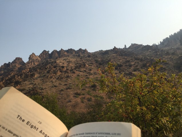 The view from my book.