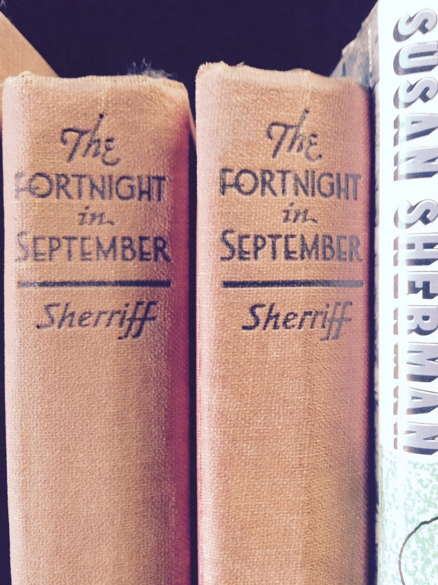 I was so tempted to buy both of these even though I own the Persephone version. I managed to leave them both on the shelf. Hopefully someone will discover how fantastic the book is.